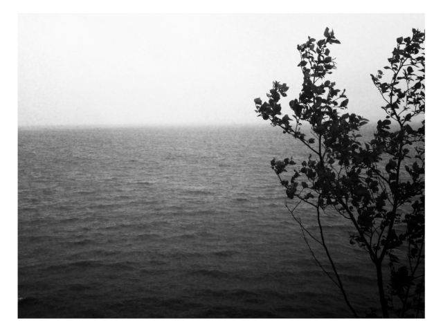 Willapa Bay, Pacific County, Washington