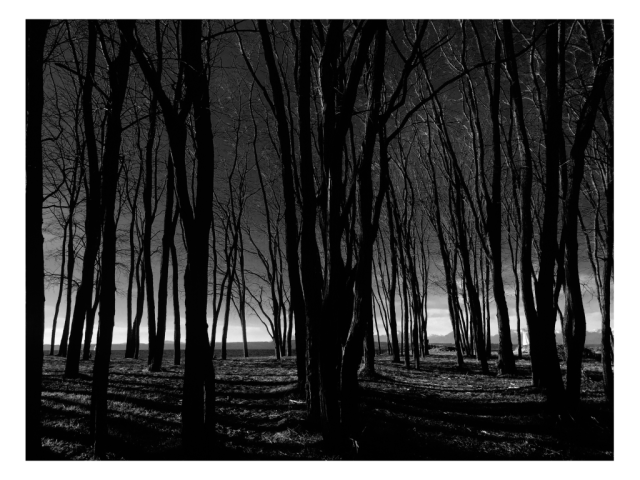 Golden Gardens, Seattle, Washington