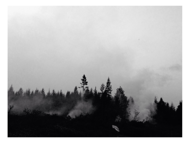 Willapa Hills, Pacific County, Washington